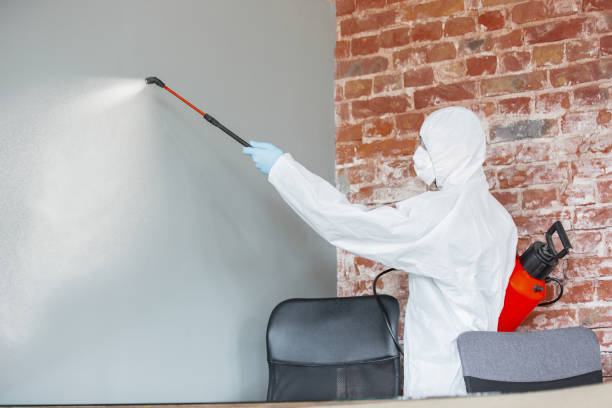 Mold Documentation for Insurance Claims in Stony Prairie, OH