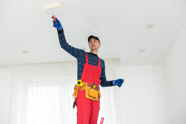 Best Black Mold Removal  in Stony Prairie, OH