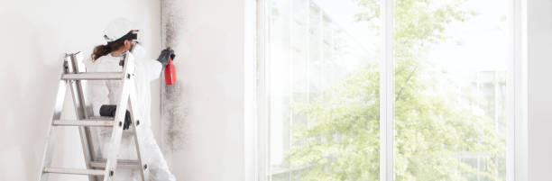 Best Real Estate Mold Inspection  in Stony Prairie, OH