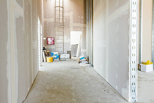 Best Mold Damage Restoration  in Stony Prairie, OH